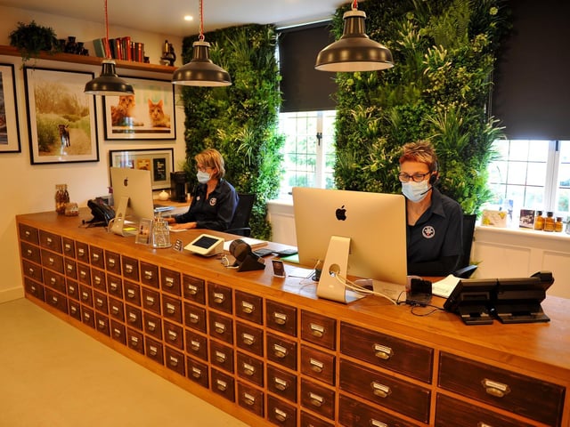The reception area, designed to be an inviting and comfortable space to put animals and owners at ease. Picture by S Robards.