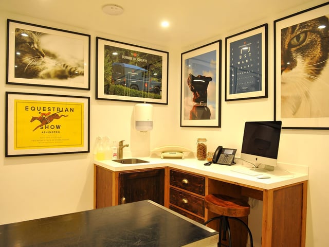 A consultation room, in keeping with the building's 'inviting' design, where animals from cats and dogs to ferrets and chickens have routine appointments. Picture by S Robards.