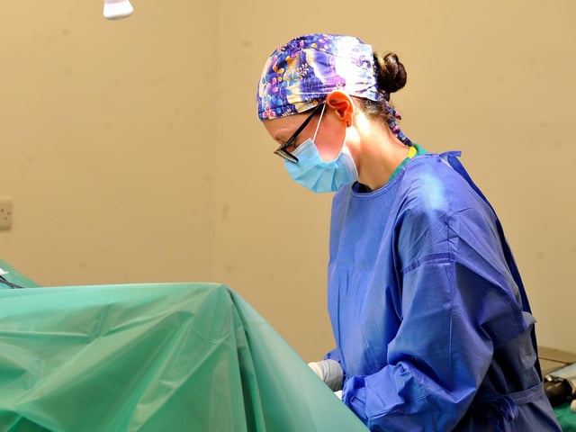 The 24-hour vet hospital takes care of anything from routine appointments to emergency road traffic accidents. Picture by S Robards.