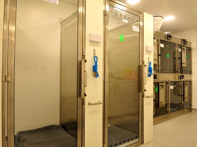 The 'comfortable and warm' kennels where canine patients stay overnight, complete with Sonar speakers and dimmable lighting. Picture by S Robards.