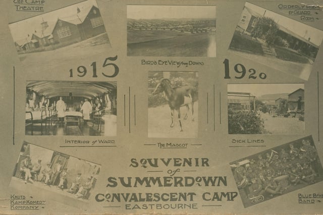 Summerdown Camp souvenir postcard. This amusing postcard, a souvenir bought by visitors or patients at the camp, has revealed yet more information about the Summerdown Camp, not least the Summerdown Camp mascot. The convalescent camp was a significant part of Eastbourne life during the First World War. Blue Boys would have been seen throughout Eastbourne, although always back in camp by their curfew. Eastbourne Heritage Service is looking for any stories and information about the camp and those who worked and convalesced there. Contact katherine.buckland@eastbourne.gov.uk or 01323 415641 for details. SUS-140304-105437001