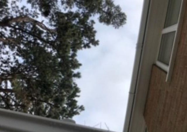 Planning Application WNN/2021/0865 - Valid From 05/10/2021
11 Cedrus Court, -, Northampton, Northamptonshire, NN2 8EU
T2 & T3 Austrian Pines - Fell