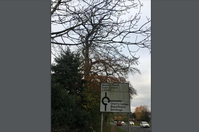 Planning Application WNN/2021/1062 - Valid From 18/11/2021
8 Beech Hide Penfold Drive, -, Northampton, Northamptonshire, NN3 9EQ
Five day notice for reduction of Beech tree by 50%, to include removal of dead wood, infected wood and dangerous branches