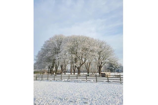 The snow in Offchurch. Photo by Russell Collins