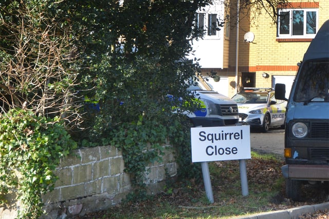 Squirrel Close, St Leonards. SUS-211129-134858001