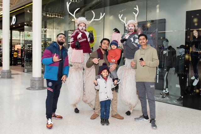 Reindeers in Aylesbury