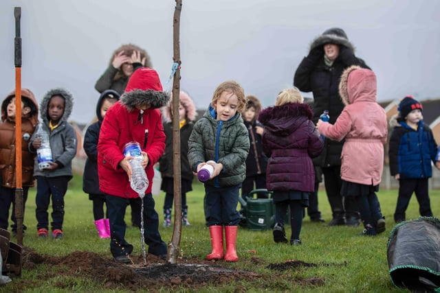 Joy for children as more than 400 trees planted across Northampton. Photo: Kirsty Edmonds.