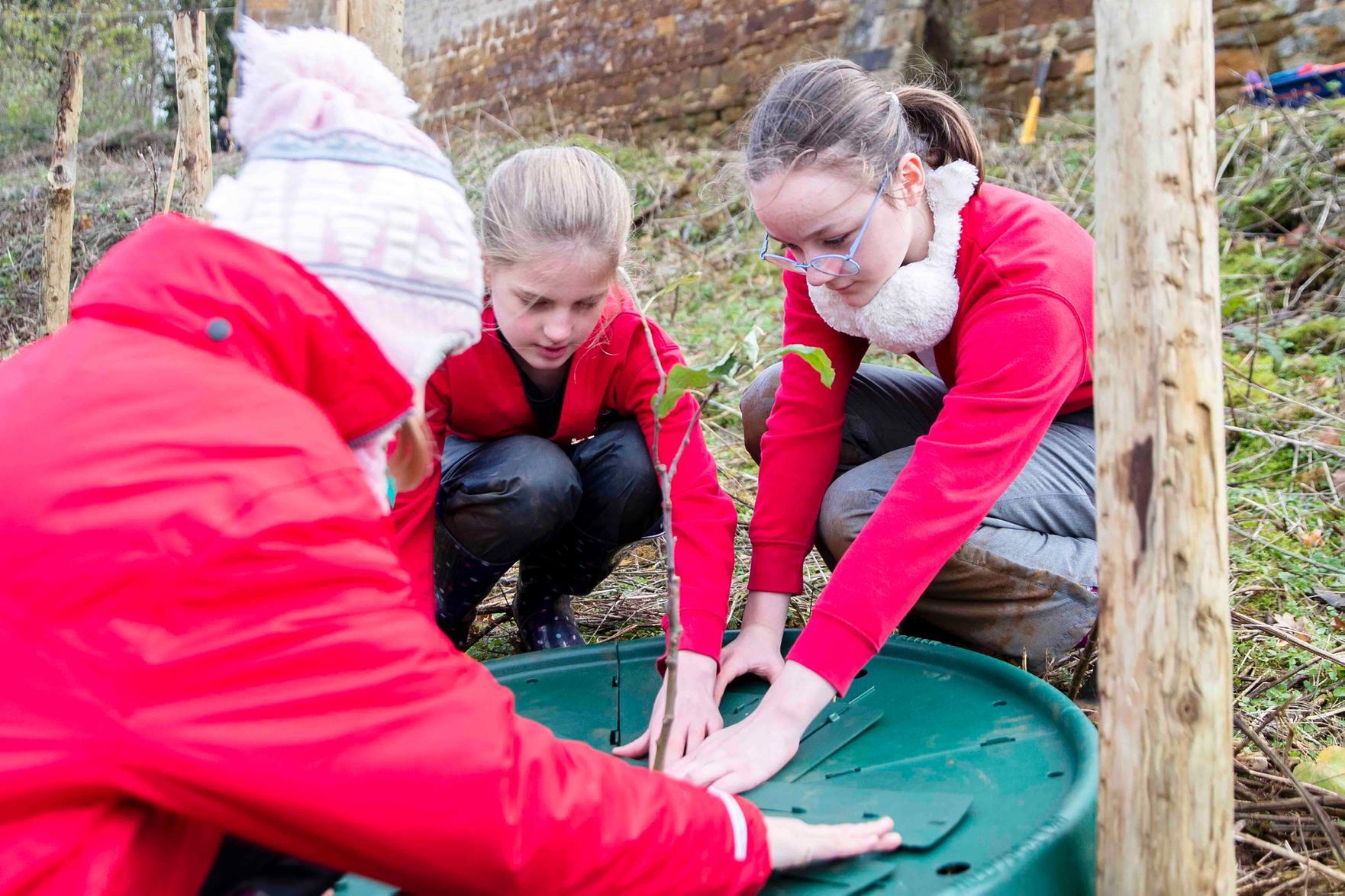 Joy for children as more than 400 trees planted across Northampton. Photo: Kirsty Edmonds.