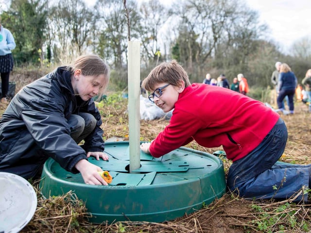 Joy for children as more than 400 trees planted across Northampton. Photo: Kirsty Edmonds.