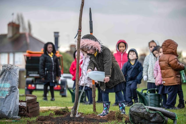 Joy for children as more than 400 trees planted across Northampton. Photo: Kirsty Edmonds.