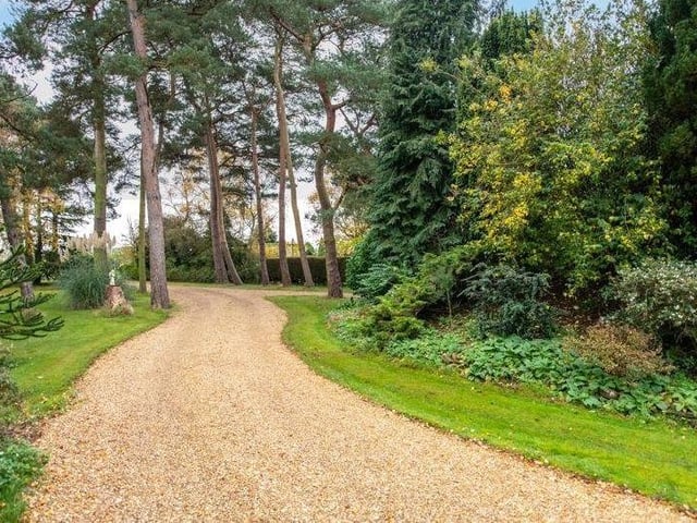 The driveway.