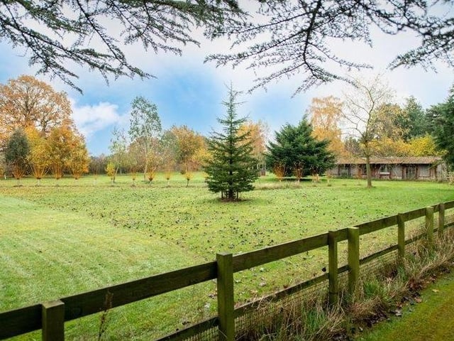 The paddock and outbuildings.