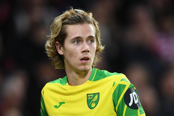 A hugley talented player never really reached his full potential at Norwich. Some Albion fans feel Graham Potter could get the best from the England youth international