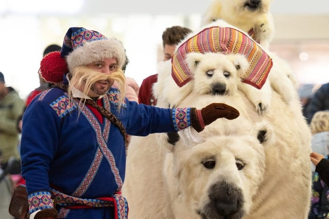 Polar bear Inka Svalbard and her Sammi friend entertained crowds at Friars shopping centre yesterday (5/12)