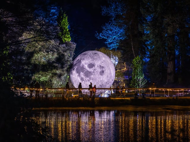 Leonardslee Gardens Illuminated - Winter Trail 2021. Photo by James Ratchford.
