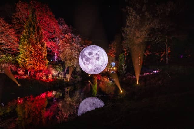 Leonardslee Gardens Illuminated - Winter Trail 2021. Photo by James Ratchford.