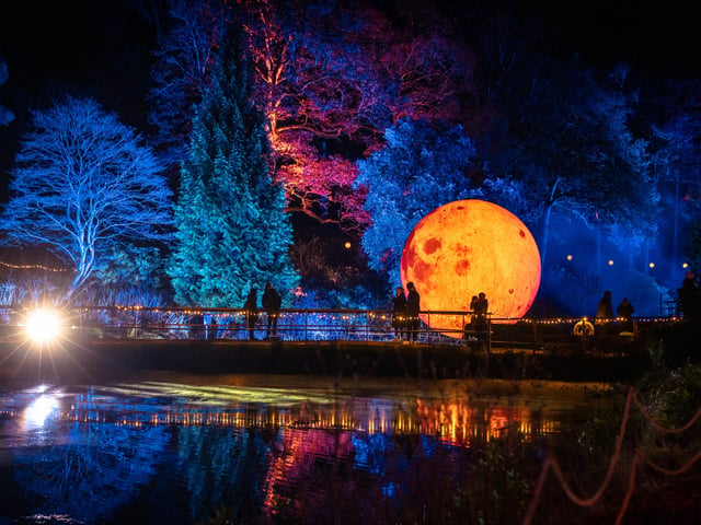 Leonardslee Gardens Illuminated - Winter Trail 2021. Photo by James Ratchford.