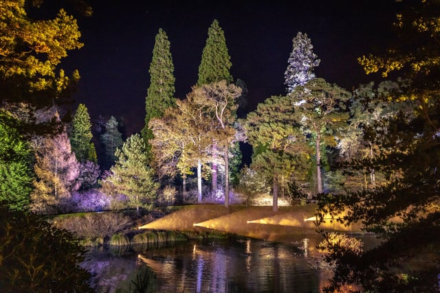 Leonardslee Gardens Illuminated - Winter Trail 2021. Photo by James Ratchford.