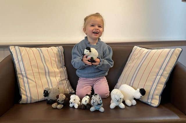 Milly with the sheep