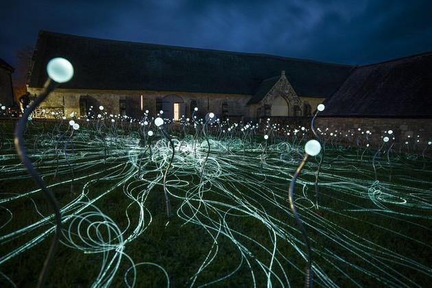 Field of Blooms, will be on display at Chichester Cathedral from November 29 2021 until January 30 2022. Presented within Paradise, a reflective green space within the Cathedral’s 600 year old Cloisters, the artwork comprises 1,000 stems of light.
