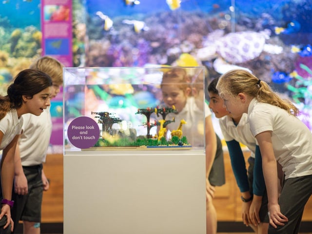 Lots to see at the exhibition