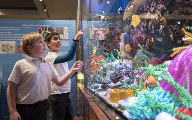Youngsters explore the Great Barrier Reef in Lego