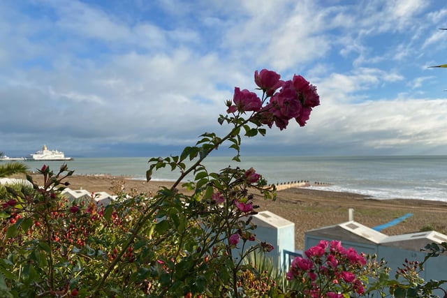 Eastbourne beach on a Sunday morning stroll, taken by Donato Tallo. SUS-210812-104628001