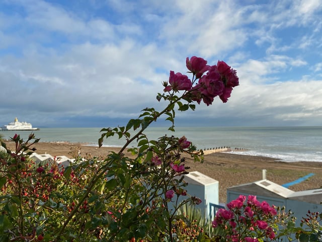 Eastbourne beach on a Sunday morning stroll, taken by Donato Tallo. SUS-210812-104628001