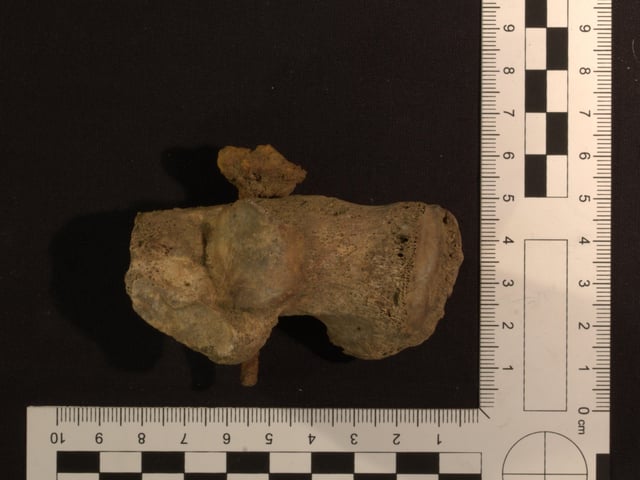 Nail replaced in heel after conservation