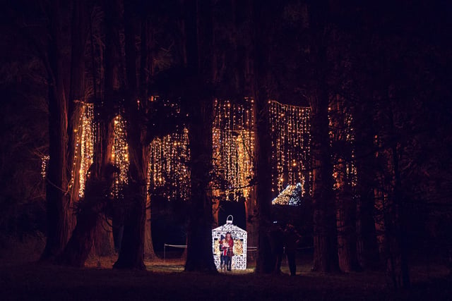 The magical winter light trail is open until January 9