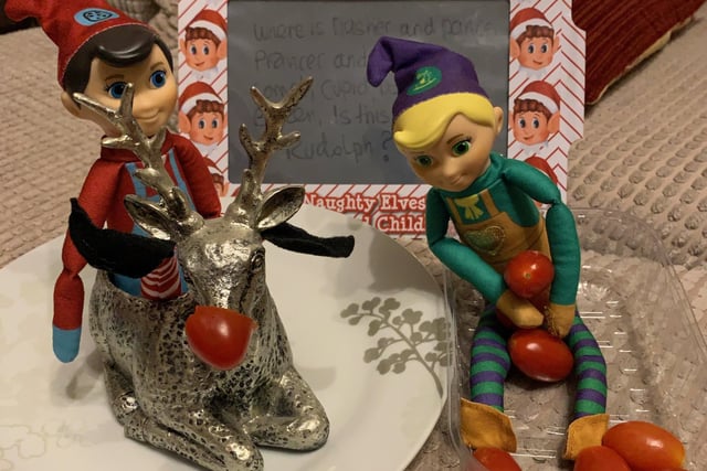 These elves wanted to give a Rudolph a red nose with some cherry tomatoes.