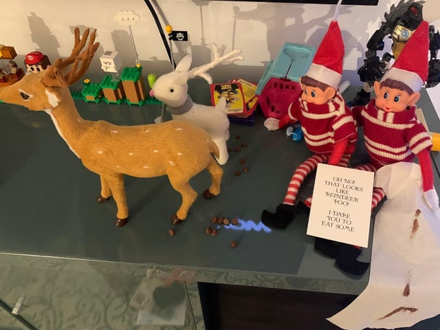 It seems the elves forgot to let the reindeer outside.