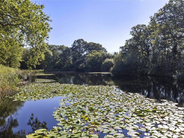 The Lake House, Plaistow