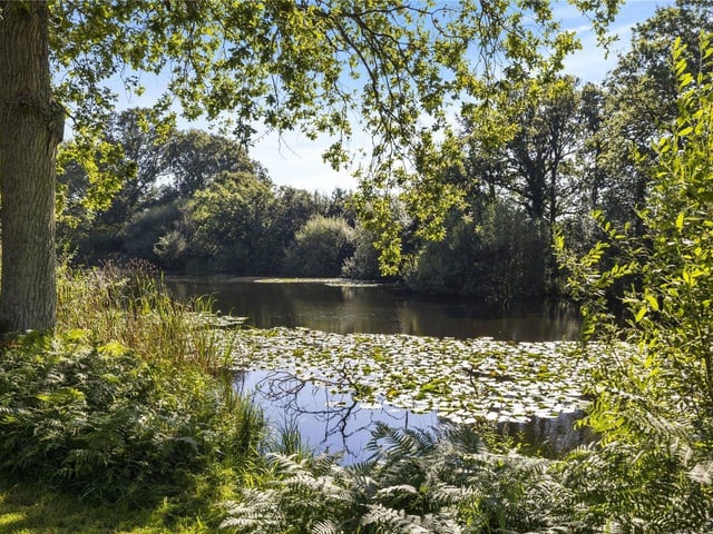 The Lake House, Plaistow