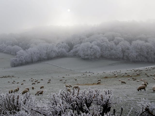 Glynde - Walking the Glynde route, you can see Mount Caburn hill fort and National Nature Reserve, Glynde Place, plus panoramic views of the Ouse Valley and Lewes. In the heart of Firle is the Ram Inn, a friendly country pub. Downland frost picture by Martin Offer