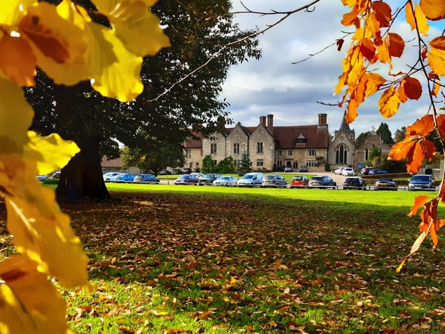 Petworth Park - With 700 acres of serpentine lakes, lawn hills and belts of trees, it’s quite a sight on a cold, frosty morning. Once finished with your walk, why not head to the nearby Star pub or Stonemason’s Inn.