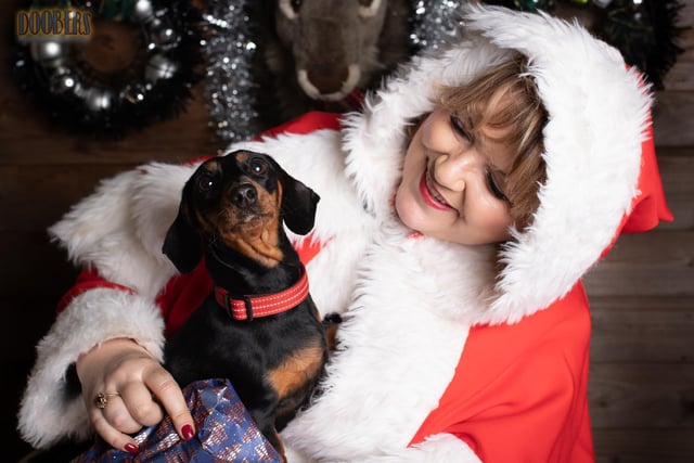 Over 60 dachshunds and their owners got into the festive spirit at the weekend