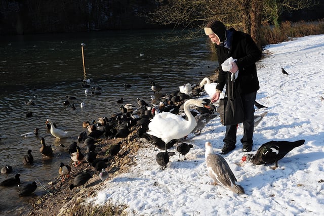Checking up on the birds at Swanbourne Lake in Arundel on Friday, December 18, 2009. Picture: Stephen Goodger L51092H9