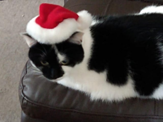 "Merry Christmas from Misty," said Ruth Chittick SUS-211213-121949001