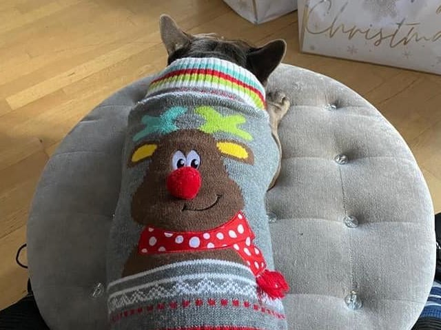 Rudolph jumper, from Keely Tweedie SUS-211213-121727001