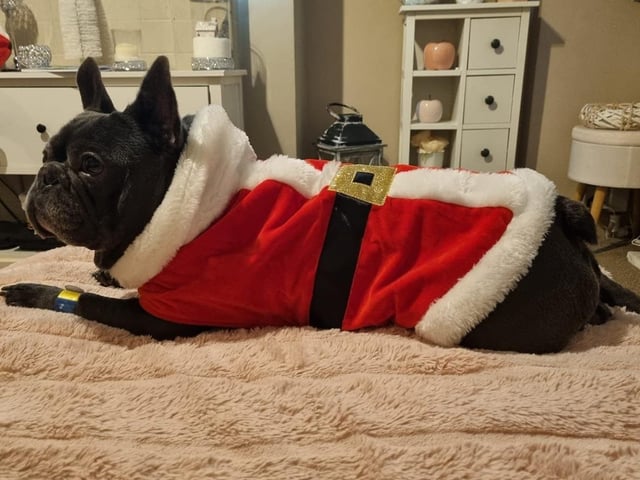 Santa costume, from Henrietta Gergely-Takács SUS-211213-133335001