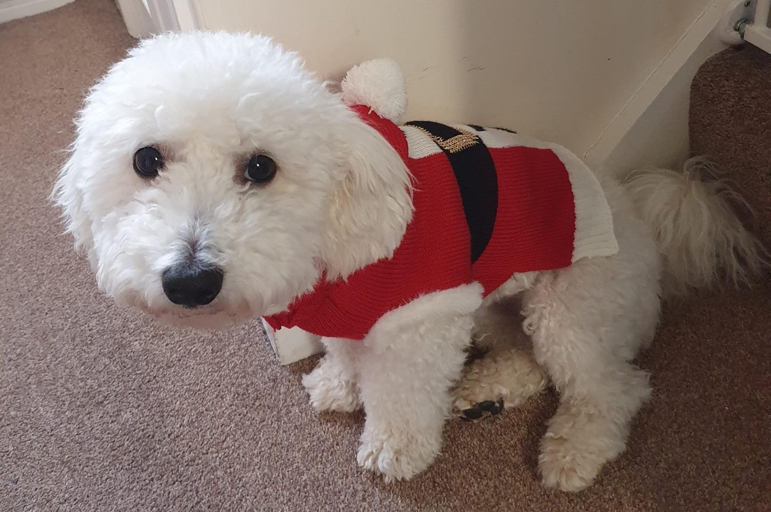 "Duggees first Christmas," said Joanne Hallett SUS-211213-131254001