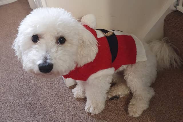 "Duggees first Christmas," said Joanne Hallett SUS-211213-131254001