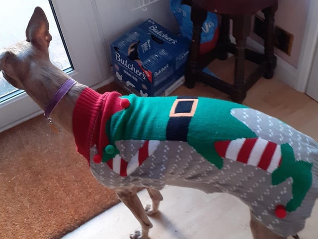 "Louis waiting for Santa," said Tess Streeton SUS-211213-133926001