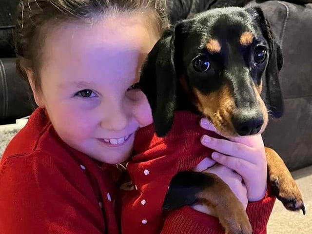 "Our eight month old rescue Daxie, matching jumpers with our daughter," said Michaela Carr SUS-211213-132342001