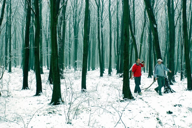 Landscape contractors having a walk in the snow at Goodwood in February 2007. Picture: Louise Adams