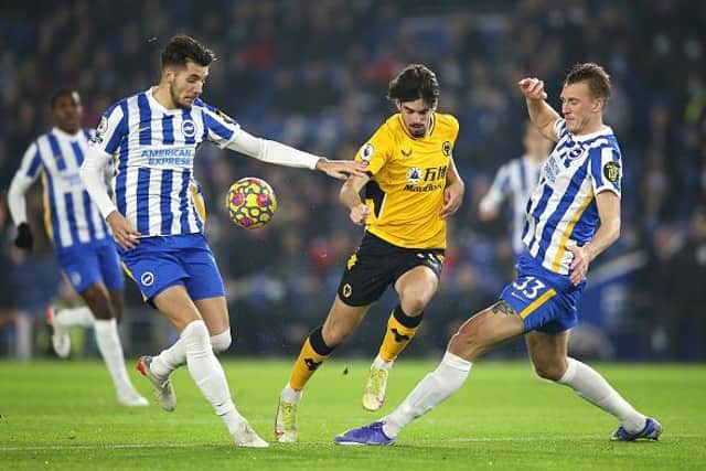 Brighton and Hove Albion suffered a 1-0 home loss against Wolves at the Amex Stadium on Wednesday