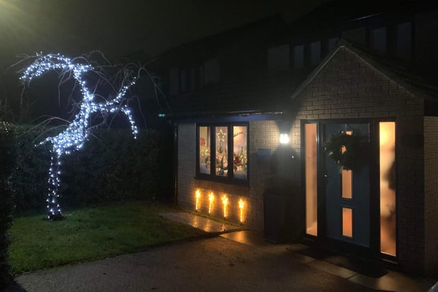 Amazing lights shaped into a reindeer at this house