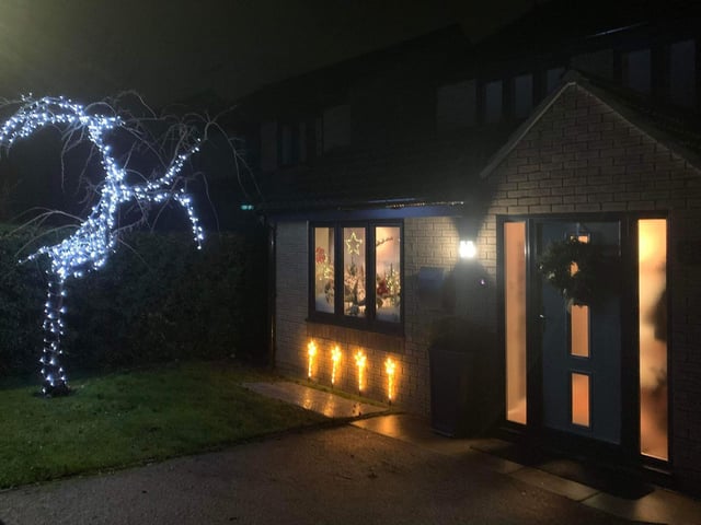 Amazing lights shaped into a reindeer at this house