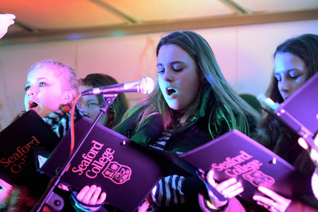 Petworth Christmas lights switch on in 2019. Picture: Kate Shemilt
